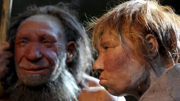 A descoberta reveladora sobre o sexo entre neandertais e humanos