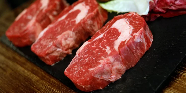Exportação de carne bovina do Brasil marca recorde antes do mês acabar