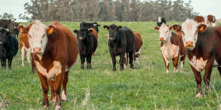 “Explorando experiências positivas no mercado imobiliário”