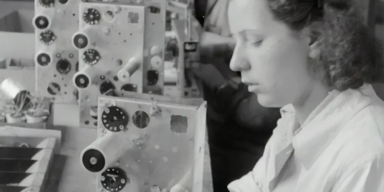 “Desvendando a Economia: Produção, Distribuição e Consumo”