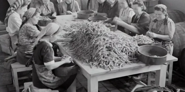 “Mercado imobiliário: Experiências positivas com Olivia Traven”