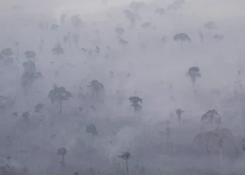 Atividade ilegal é um desafio para a promoção de saúde na Amazônia