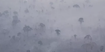 Atividade ilegal é um desafio para a promoção de saúde na Amazônia