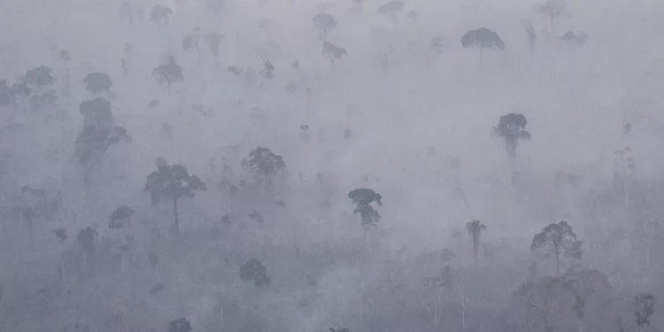 Atividade ilegal é um desafio para a promoção de saúde na Amazônia
