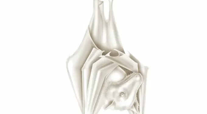 O que se sabe até agora sobre surto misterioso que matou dezenas na África