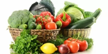 Dieta NiMe: o novo cardápio baseado em vegetais e quase nada de carnes e ultraprocessados