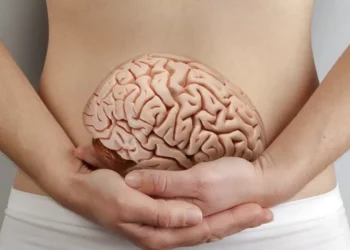 Segundo cérebro: o que a ciência já sabe sobre a importância do intestino na saúde mental