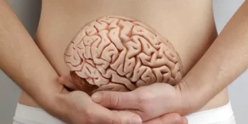 Segundo cérebro: o que a ciência já sabe sobre a importância do intestino na saúde mental