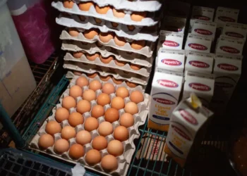 Trump: Taxaremos no que nos taxarem e criaremos empregos como nunca