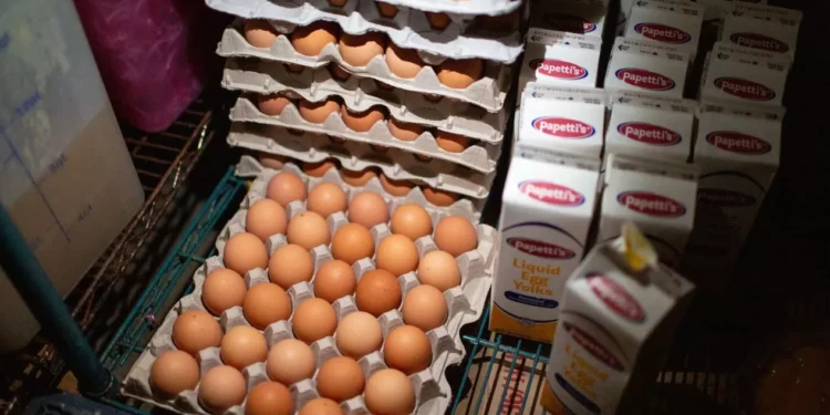 Trump: Taxaremos no que nos taxarem e criaremos empregos como nunca