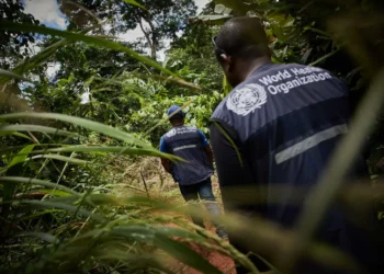 Congo: OMS aponta possível origem para doença misteriosa que causa mortes