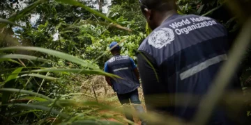 Congo: OMS aponta possível origem para doença misteriosa que causa mortes