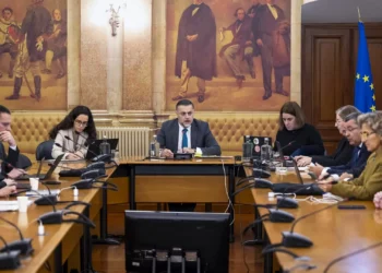 Caso gémeas. Votação das conclusões do inquérito parlamentar adiada para terça-feira