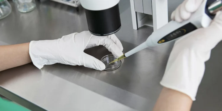 Inteligência artificial para gerar bebês? Sim, ela terá um papel nessa história