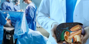 Inédito: fígado suíno geneticamente modificado é usado em transplante humano