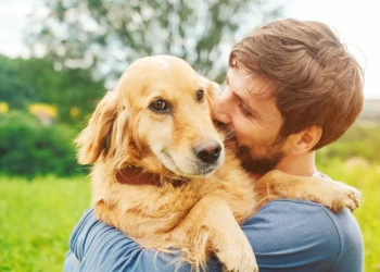 Saiba como melhorar a conexão emocional com o seu cão