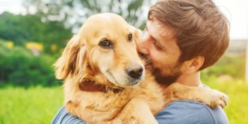 Saiba como melhorar a conexão emocional com o seu cão