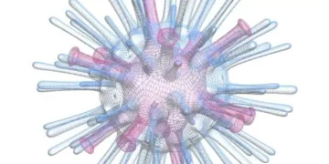 Gripe aviária: criança de 3 anos é primeira vítima fatal de H5N1 no México