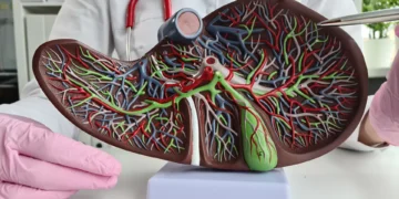 Cientistas chineses anunciam feito inédito que revoluciona o transplante de fígado