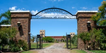 Conheça a vinícola da Campanha Gaúcha que está colecionando prêmios