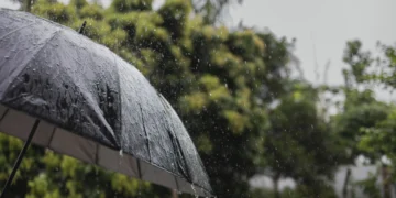 Pesquisa detecta agrotóxicos na chuva em três cidades brasileiras; veja quais