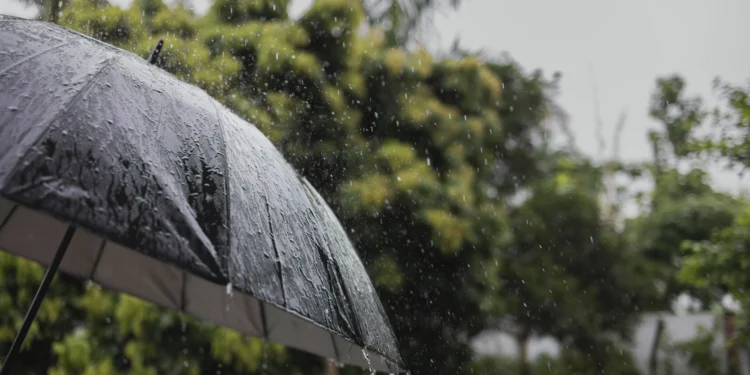 Pesquisa detecta agrotóxicos na chuva em três cidades brasileiras; veja quais