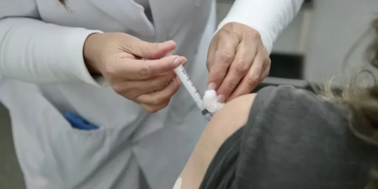 Febre amarela: mais uma ameaça causada por mosquitos está de volta