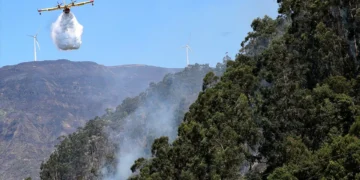 Nuno Melo diz que não há militares da Força Aérea envolvidos na operação “Torre de Controlo”