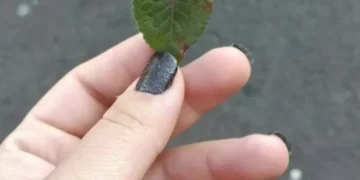 Adolescência: jovens relatam em cartilha estratégias para aliviar sofrimento mental