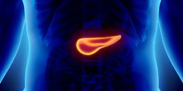 Câncer de pâncreas: estudo brasileiro aponta caminho para tratar tipo agressivo