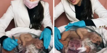 ‘Mães de bebê reborn’: o limite do bom senso no uso de bonecos realistas