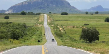 Ceará registra foco de gripe aviária em criação doméstica