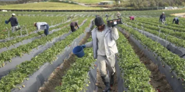 Com críticas da esquerda, Parlamento aprova urgência para leis da nacionalidade, estrangeiros e nova unidade na PSP