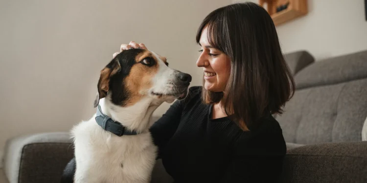 Pesquisa mostra que cães ajudam as pessoas a regular o estresse mais do que o esperado