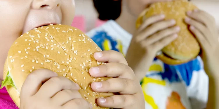 Problemas na cantina? O que precisa mudar na alimentação escolar