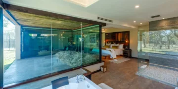 Leão ‘visita’ hóspede em hotel de luxo na África do Sul: entenda