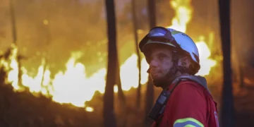 Incêndios. Partidos criticam medidas do Governo e pedem rapidez na ajuda