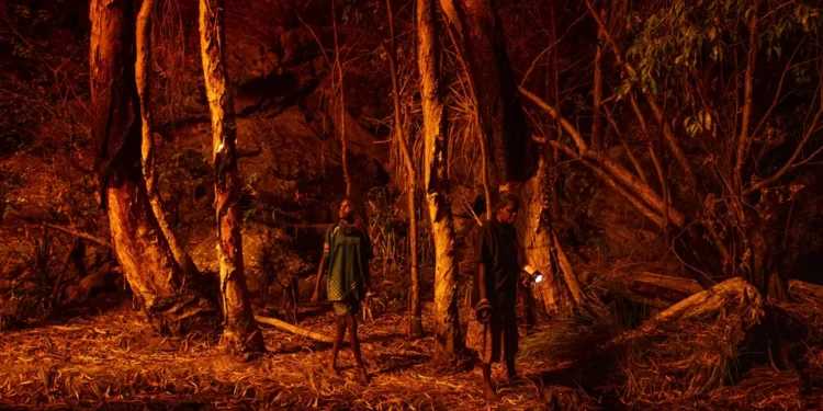 Incêndios: Governo diz ser extemporânea discussão sobre modelo da Proteção Civil