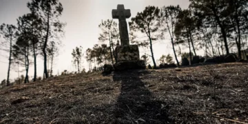 Reforço das políticas para “salvar economia”