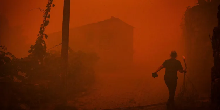 Incêndios: Marcelo defende ministra e pacto de regime