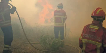 Proteção Civil registou 38 ocorrências hoje e três mereciam maior preocupação