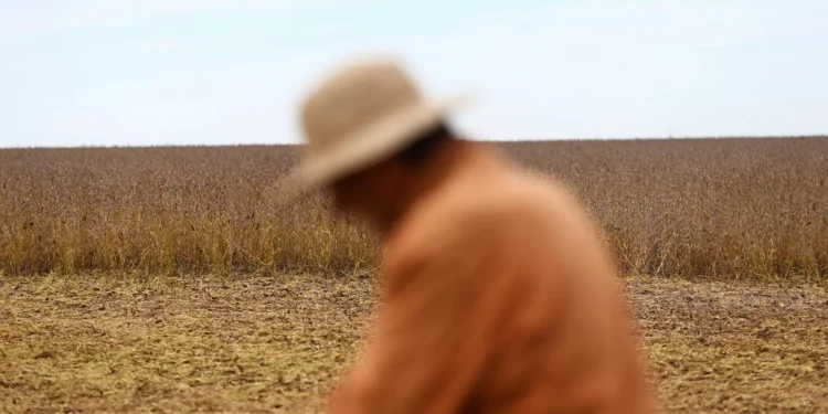 The AgriBiz: Em 72h, exportação de grãos garantiu US$ 7 bi à Argentina – e queixas