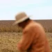 The AgriBiz: Em 72h, exportação de grãos garantiu US$ 7 bi à Argentina – e queixas