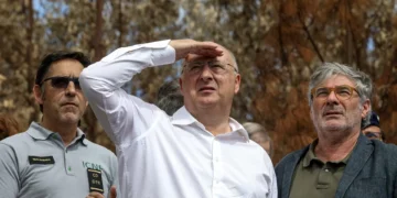 Ministro da Agricultura quer apostar na pastorícia para prevenir fogos