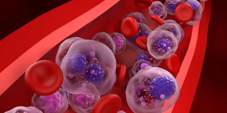 ‘Já falamos em cura funcional’, diz brasileira que liderou estudo com droga inovadora para o câncer