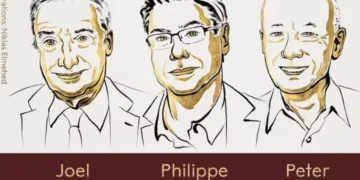 Nobel de Economia premia teoria sobre inovação e destruição criativa; saiba o que é