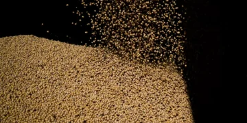 Conab mantém previsão de safra de soja do Brasil, mas cita preocupações climáticas