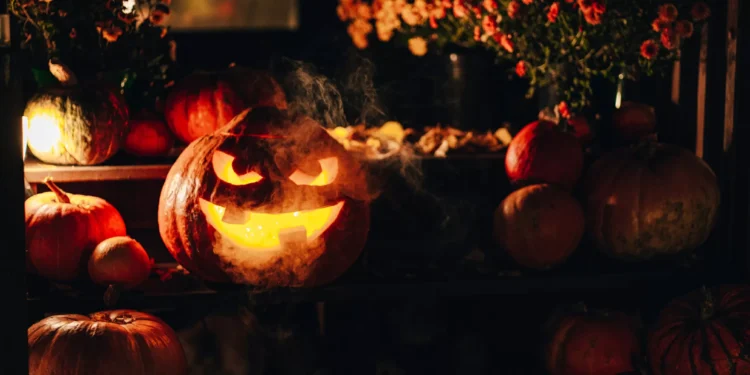 Você pode viver com medo ou com arrependimentos. Faça sua escolha