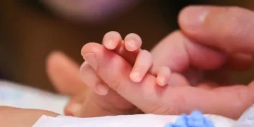 Saiba quando começa vacinação de gestantes contra vírus que põe bebês em risco