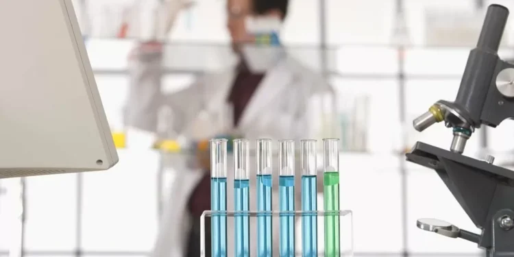 Os pesquisadores brasileiros que mais influenciam políticas públicas de saúde mundo afora